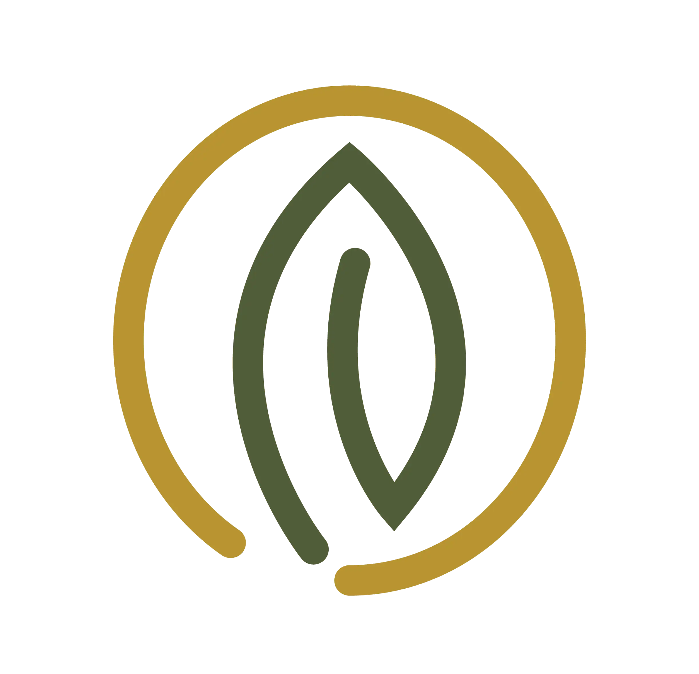Conceito do Logotipo